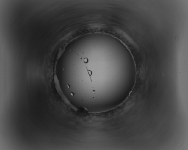 X0000100420821200806061401