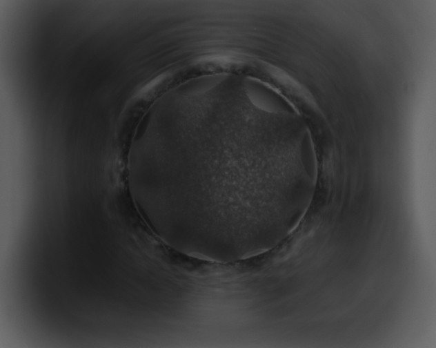 X0000100420822200806061401