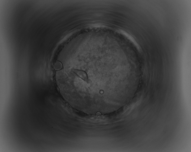 X0000100420823200806061401
