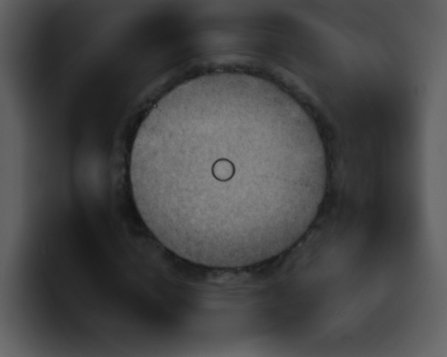 X0000100420824200806061401