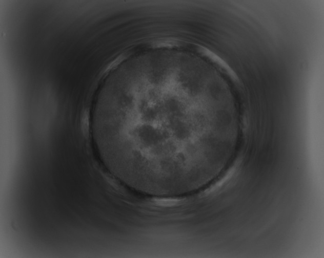 X0000100420825200806061401