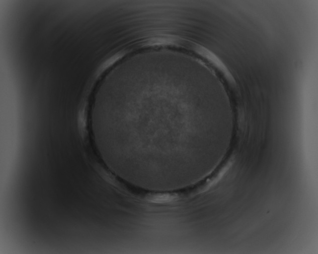 X0000100420826200806061401
