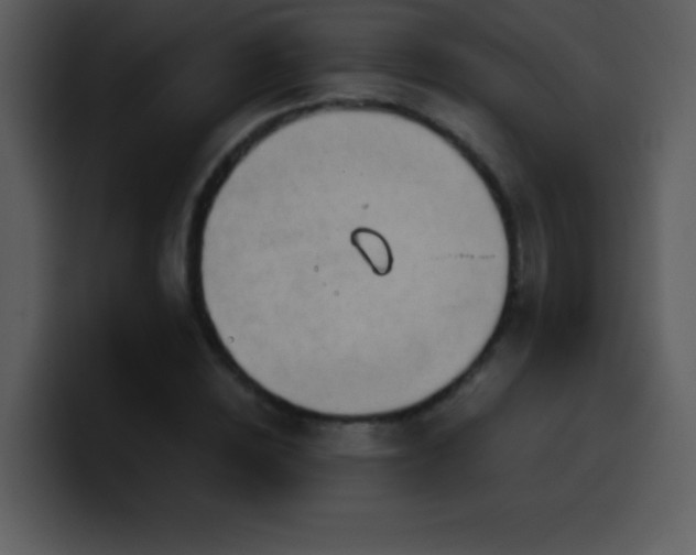 X0000100420828200806061401