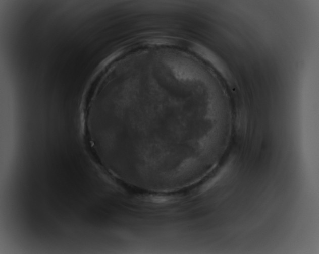 X0000100420829200806061401