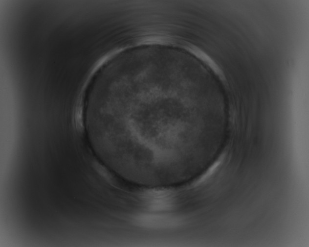 X0000100420830200806061401