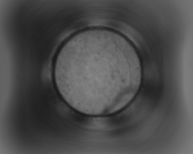 X0000100420832200806061401