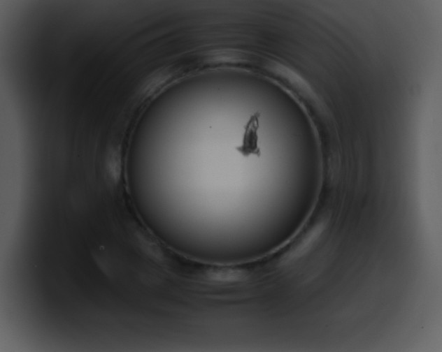 X0000100420833200806061401