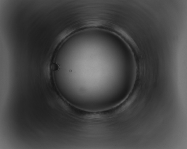 X0000100420834200806061401