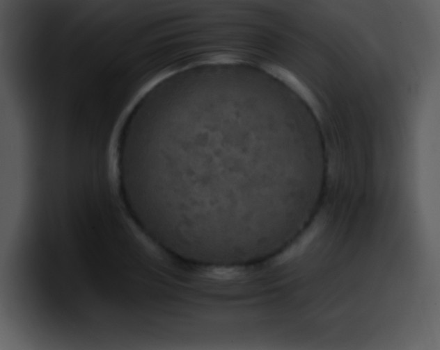 X0000100420835200806061401