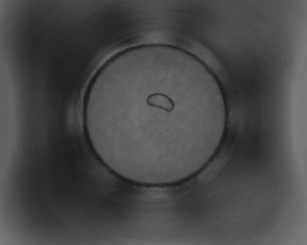 X0000100420836200806061401