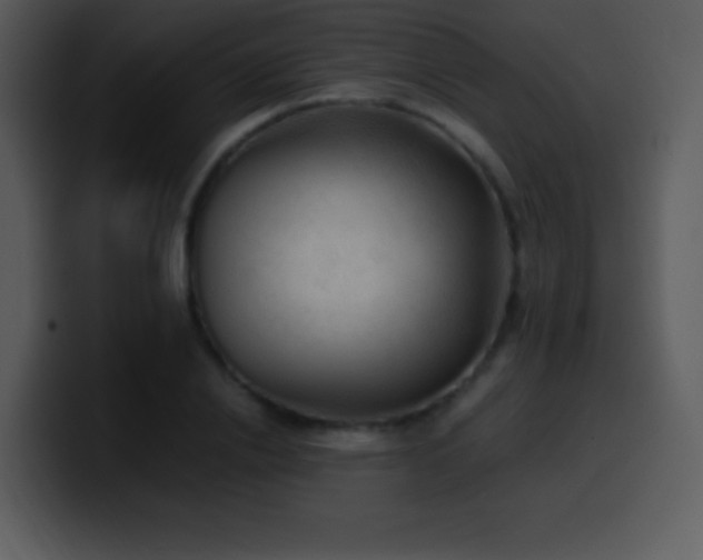 X0000100420838200806061401
