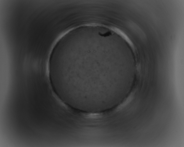 X0000100420839200806061401