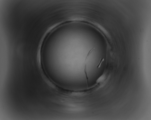 X0000100420840200806061401