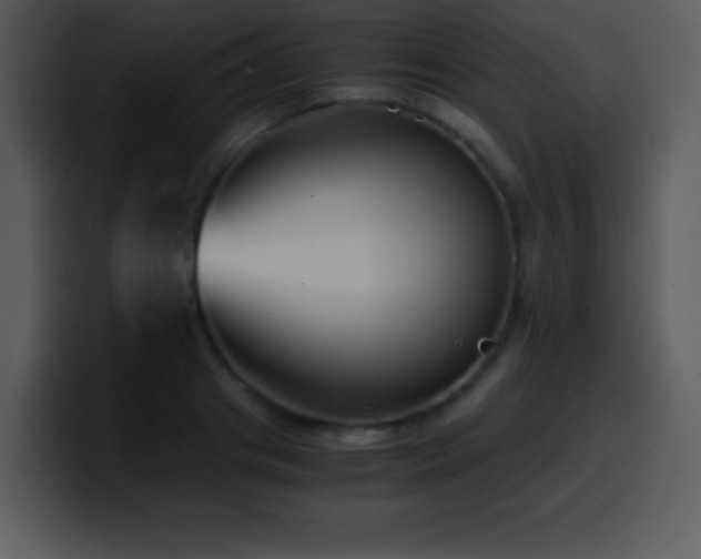 X0000100420841200806061401