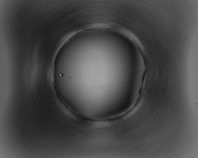 X0000100420844200806061401