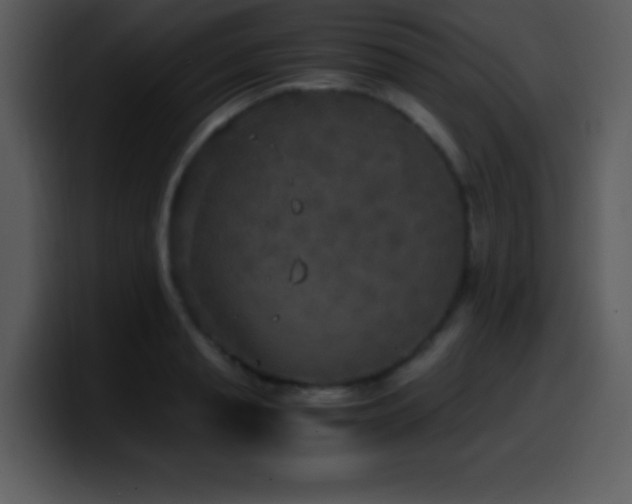X0000100420845200806061401