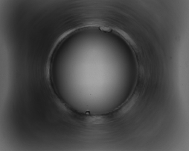 X0000100420846200806061401