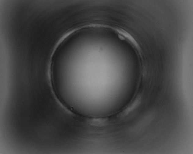 X0000100420847200806061401