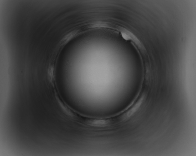 X0000100420849200806061401