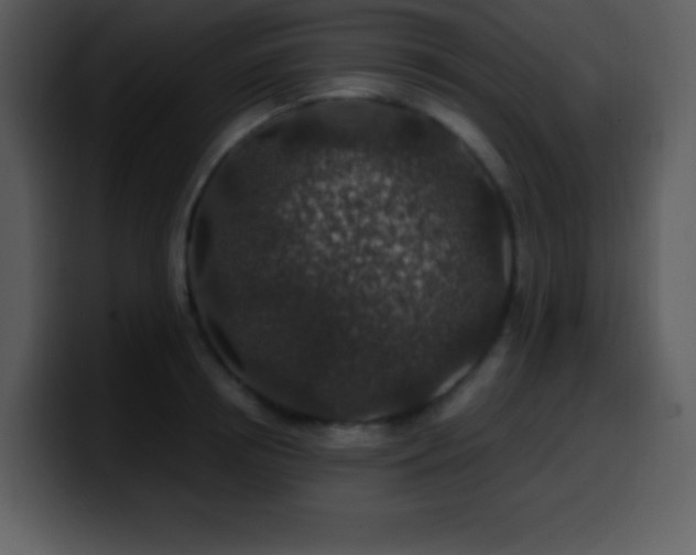 X0000100420850200806061401