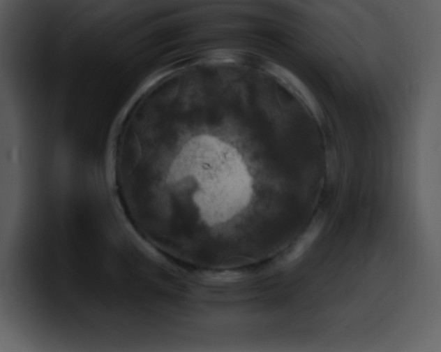 X0000100420851200806061401