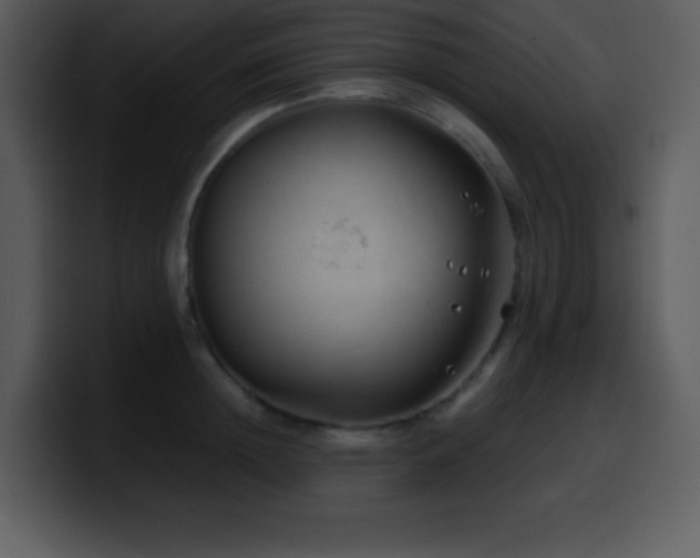 X0000100420852200806061401