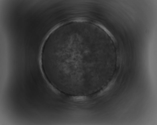 X0000100420853200806061401