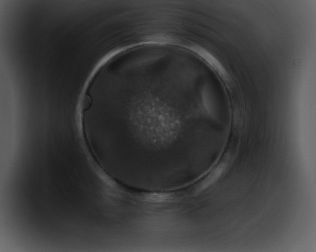 X0000100420854200806061401