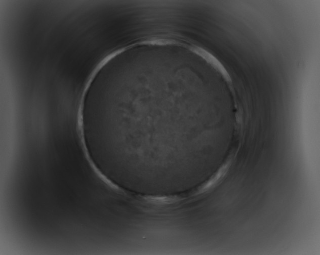 X0000100420855200806061401