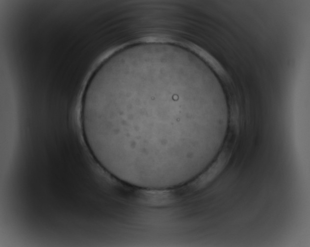 X0000100420856200806061401