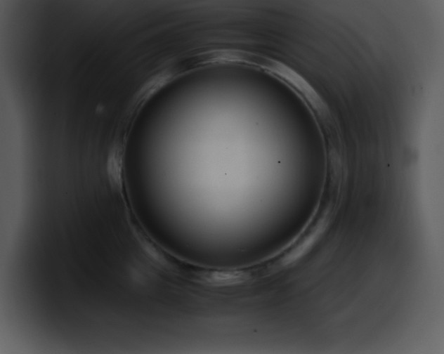 X0000100420857200806061401