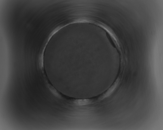 X0000100420858200806061401