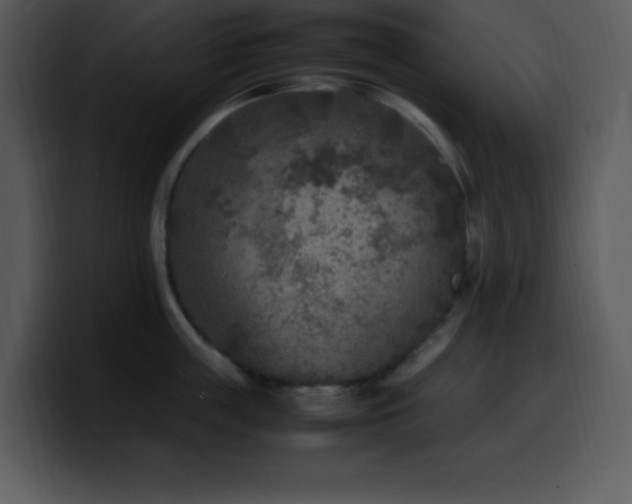 X0000100420859200806061401