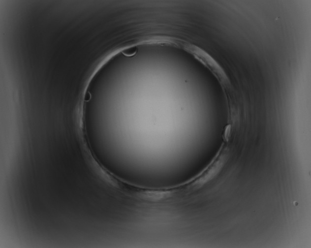 X0000100420860200806061401
