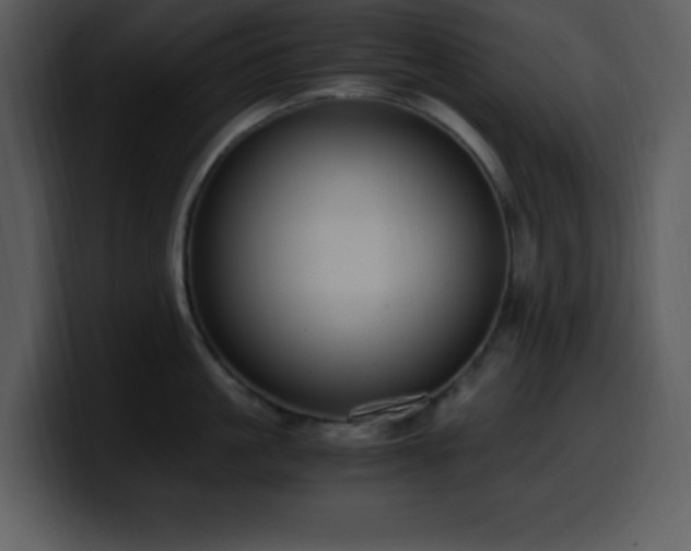 X0000100420861200806061401