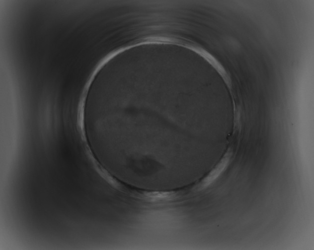 X0000100420862200806061401