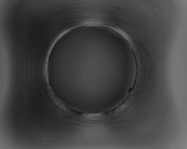 X0000100420864200806061401