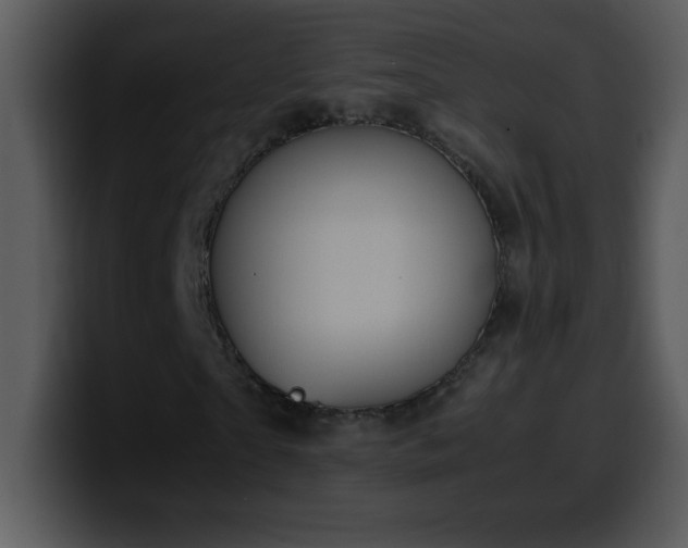 X0000100420865200806061401