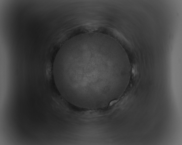 X0000100420867200806061401