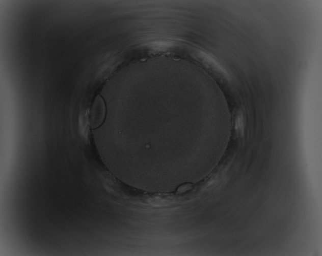 X0000100420868200806061401