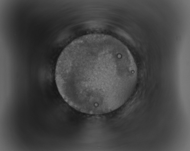 X0000100420869200806061401