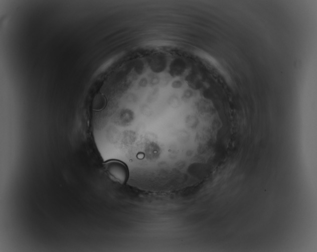 X0000100420871200806061401