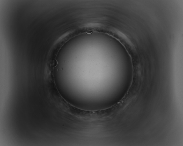 X0000100420872200806061401