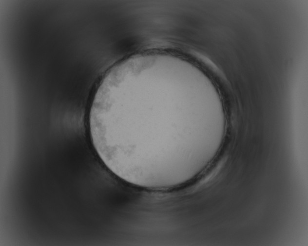 X0000100420873200806061401