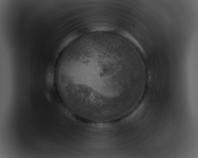 X0000100420874200806061401