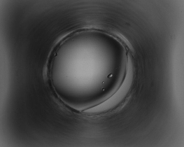 X0000100420876200806061401