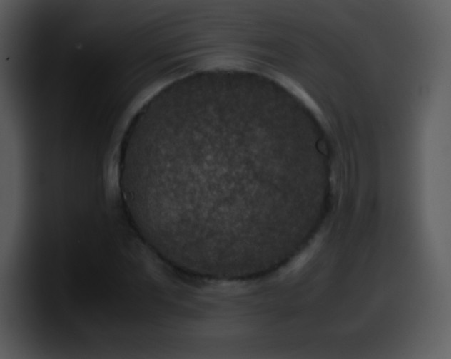X0000100420877200806061400