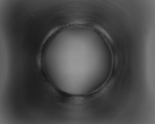 X0000100420878200806061400