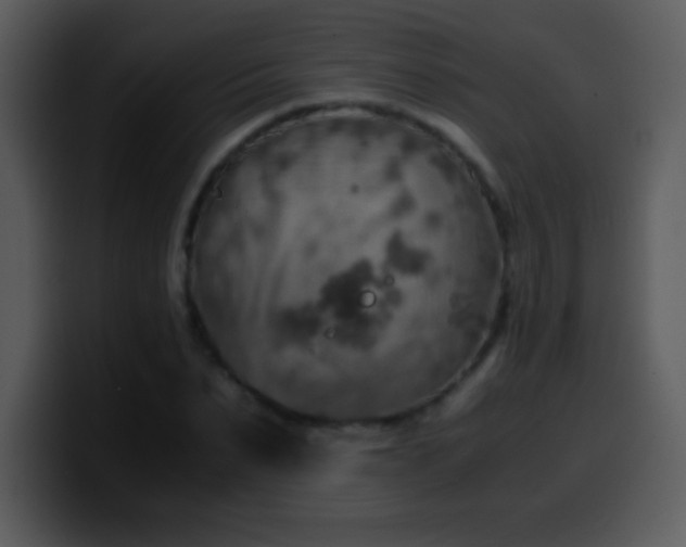 X0000100420879200806061400