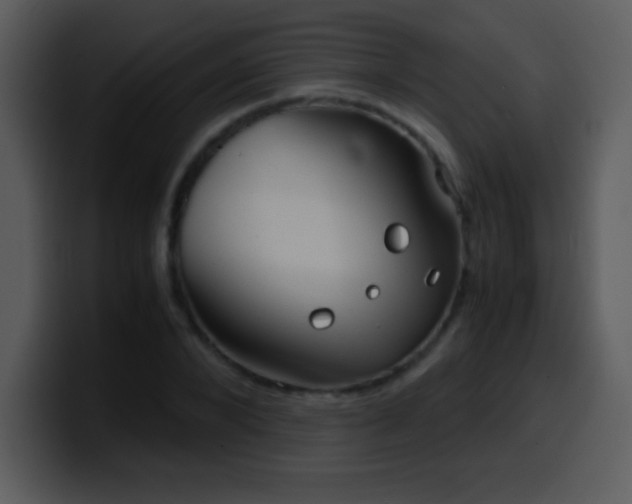 X0000100420880200806061400